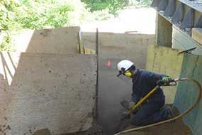 Air Spade Root Exploration