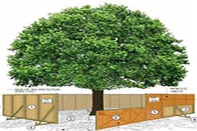 Tree Protection Hoarding/Fencing